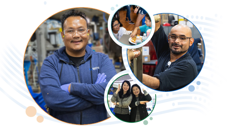 Final - Collaborative Culture Bubbles